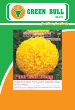 hạt giống hoa cúc vạn thọ - PhuPhanThong เมล็ดพันธุ์ดาวเรืองกระถางลูกผสม ภูพานทอง ตรากรีนบูล Marigold Seeds F1 � PhuPhanThong GreenBull Brand 