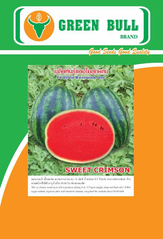 hat giong dau hau lai F1 Thai Lan chat luong cao,紾ѹᵧ,watermelon seeds,Green Tiger 351