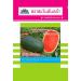 hat giong dua hau,Super Hirock, ,紾ѹᵧ,watermelon seed,advance seeds,ҵѹ鹡,www.grand-biz.com